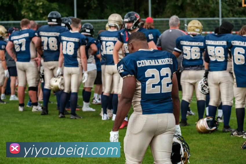 App Interface Preview